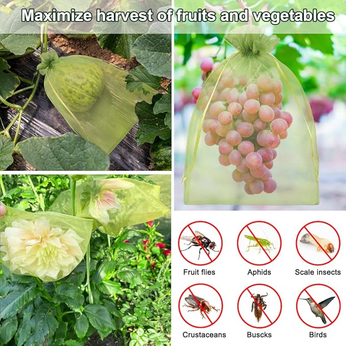 Shintop 100Pcs Fruit Protection Bags, 8x12 Inch Green Grape Netting Cover Drawstring Mesh Bags Pest Barrier for Fruit Trees Flower