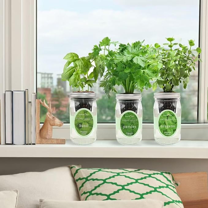 Environet Hydroponic Herb Growing Kit Set, Self-Watering Mason Jar Herb Garden Starter Kit Indoor, Window Herbs Garden, Grow Your Own Plants from Organic Seeds (Basil, Parsley and Oregano)