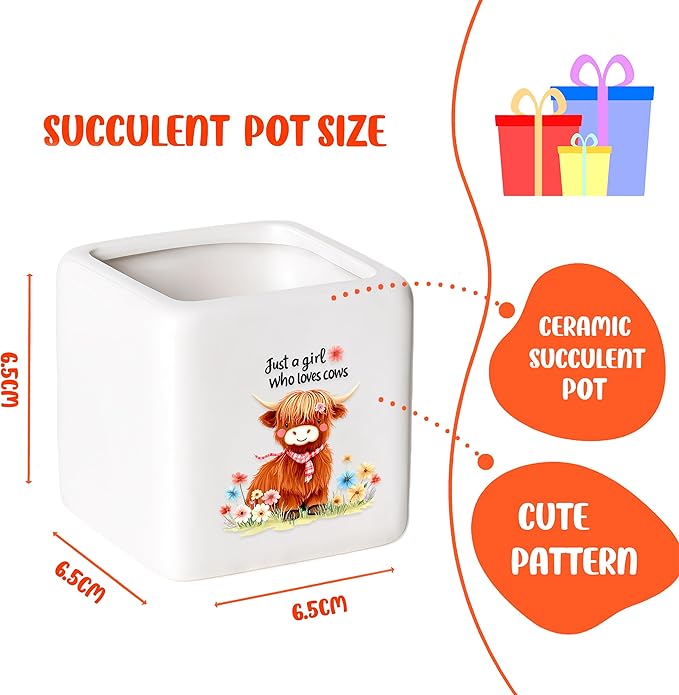 BJDAMAI Highland Cow Succulent Planter Flower Plant Pot Small, Gifts for Women Teens Girls Kids, Cow Lovers Themed Stuff Accessories Things Decor Merch, Home Office Table Desk Decoration!