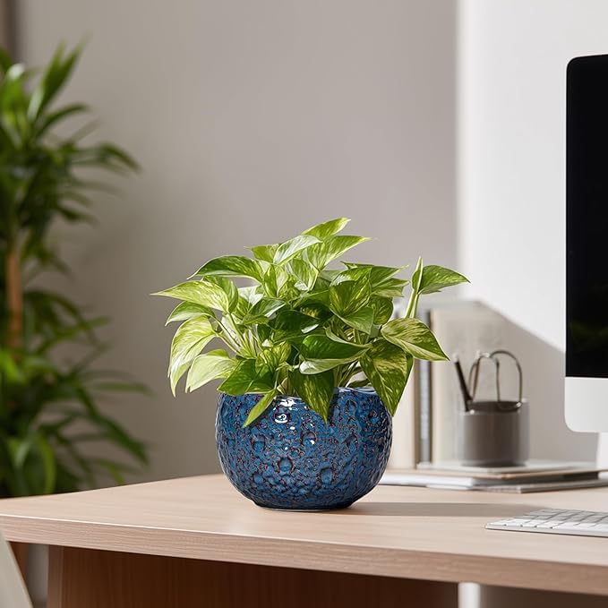 Thirtypot 6 Inch Plant Pot - Ceramic Pots for Plants with Drainage Hole, Round Orchid Pot, Unique Planter for Indoor Outdoor, Modern Decorative Flower Pots, Room Decor, Plant Lovers Gifts, Retro Blue