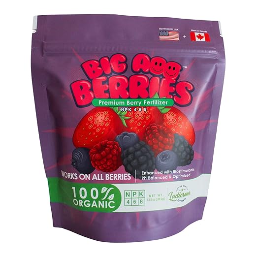 Big A Berries Fertilizer Nutrients – Plant Nutrients for Growth – Organic Nutrients for Indoor and Outdoor Berries – Works on Raspberry, Strawberry, Blueberry - 13.5oz