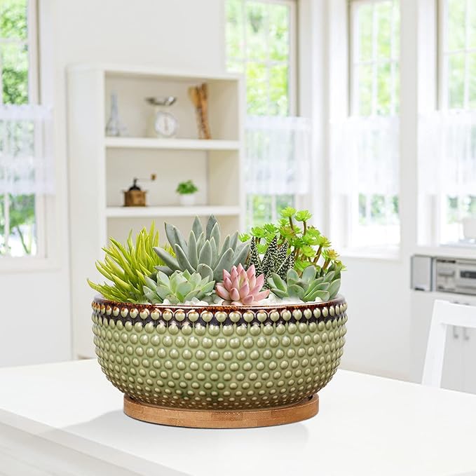 EPFamily 8 Inch Ceramic Succulent Shallow Planter Pot with Drainage Hole and Saucer Beaded Stoneware Planter for Indoor Plants Green