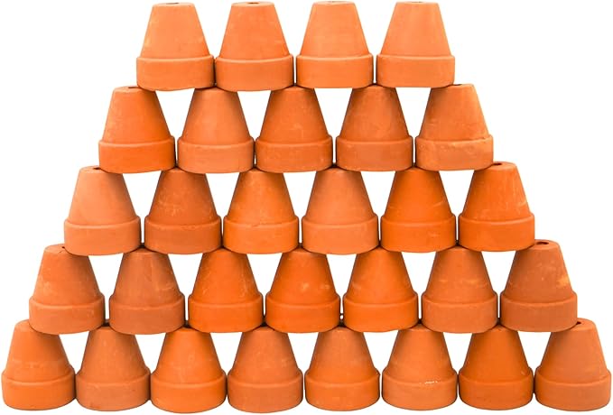Yuvori Mini Terracotta Pots – Small Clay Flower Pots for Succulents, Cactus, DIY Crafts, Fairy Garden, School Projects, Mini Planters, Set of 30 (Classic Cylinder, 1 Inch)