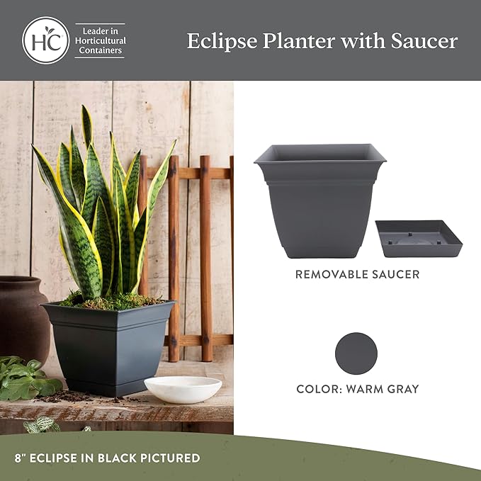 The HC Companies 6 Inch Eclipse Square Planter Pots with Drainage Holes & Attached Saucer, Lightweight UV-Resistant Plastic Indoor Outdoor Planters, 4-Pack Flower Pots for Garden Home Decor, Warm Gray
