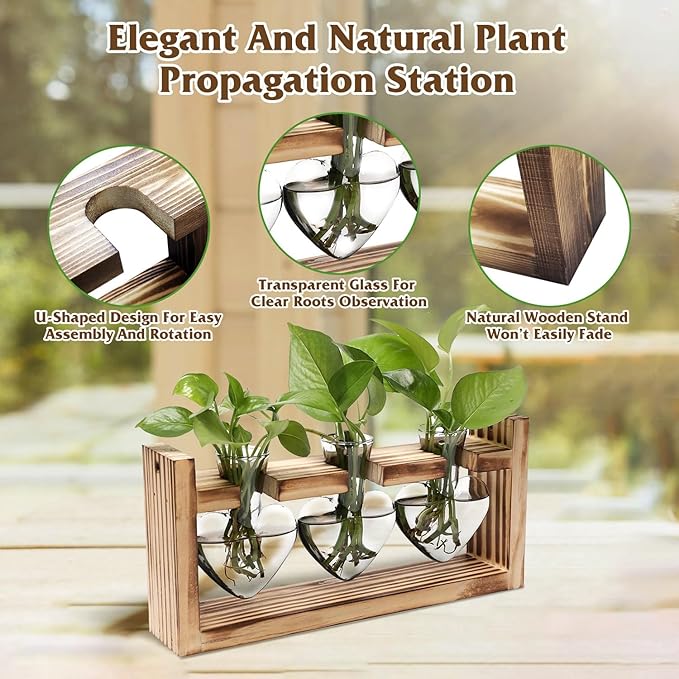 Zorpupoa Plant Propagation Station, Plant Terrarium with Wooden Stand, Tabletop Glass Planter Desktop Plants Propagation Vase for Hydroponics Plants - 3 Heart Shaped Vases