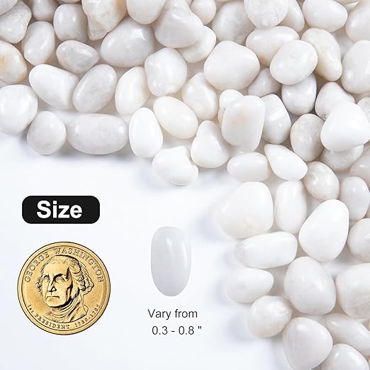 Lechloris 10LB White River Rock- High Polished Pebbles for Indoor Plants- Decorative Stones for Aquarium Fish Tank - White Rocks for Outdoor Garden Landscaping - 0.3"-0.8"