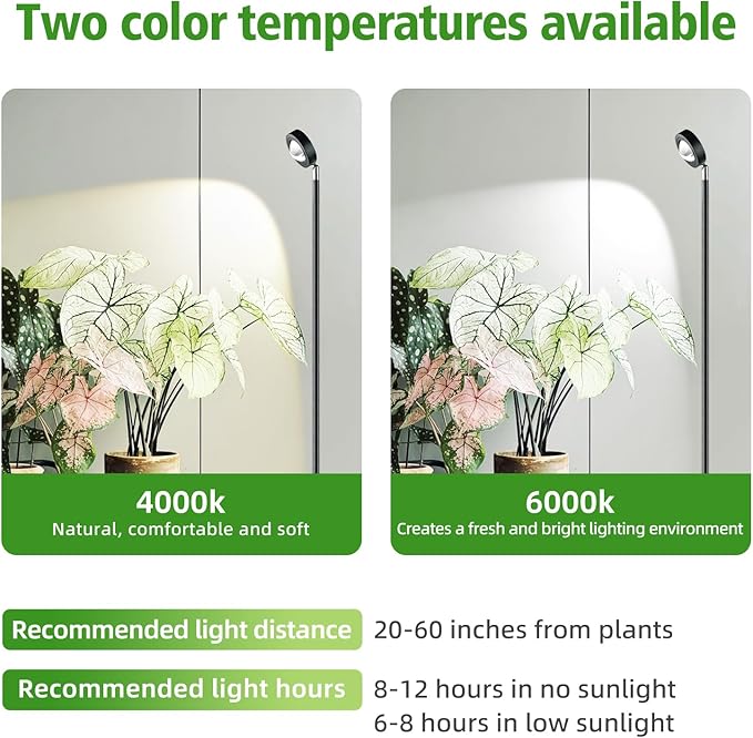 20W Full Spectrum Grow Light, 3000LM High PPFD&CRI COB LED Floor Lamp with 6/8/12H Timer, Adjustable Height (28"-83") & Angle, Grow Lights for Indoor Plants, Succulents & Flowers (6000K Daylight)