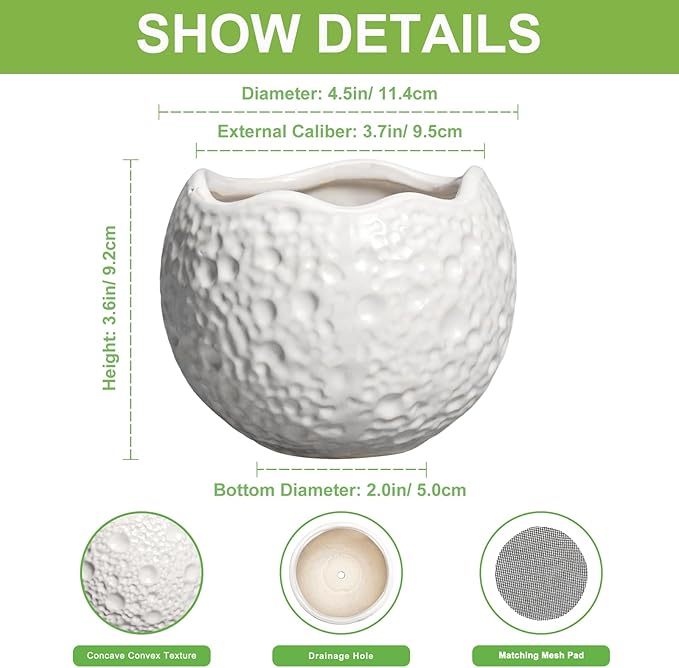 Thirtypot 4 inch Plant Pots - Ceramic Pots for Plants with Drainage Hole, Small Planter for Indoor Outdoor, Unique Succulent Pot, Decorative Modern Round Planter, Desk Decor, Plant Lover Gifts, White