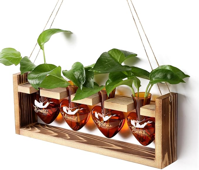 CYZglass Plants Propagation Stations Plant Terrarium Kit for Bathroom Glass Planters for Indoor Plants Bathroom Decor Accessories - Relax Soak Unwind Breathe