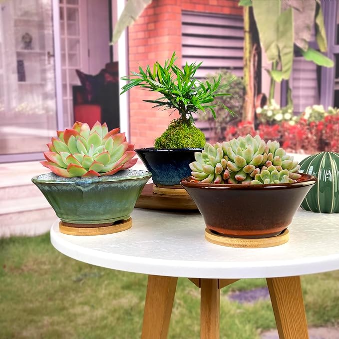 Summer Impressions 6 Inch Glazed Terracotta Succulent Pot Planter Small Plant Pot with Drainage Hole and Bamboo Saucer Cactus Ceramic Pot Set of 3 (Blue Green Orange)