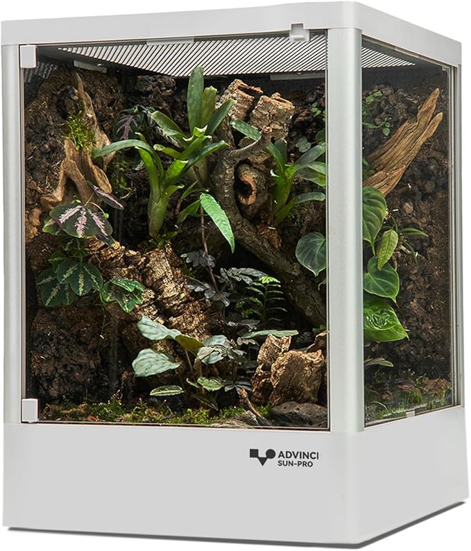 ADVINCI Reptile Terrarium 12"x12"x16" 9.5 Gallon,Aluminum Frame,Full Glass Tank Enclosure for Small Reptiles, Geckos, Frogs, Lizards, Snakes, Spiders, Turtles, Vertical Rainforest Habitat