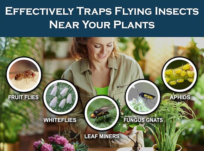 MaxGuard (20 Pack) Yellow Sticky Hanging Traps - Catch and Kill Fungus Gnats, Whiteflies, Mosquitos, Aphids, Leaf Miners, Flying Insect Catcher Glue Trappers for Indoor or Outdoor