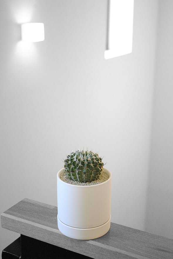 Crystal Grain Succulent & Cactus Soil Mix, Fine Grain for Small Pots, 100% Inorganic & Odorless, Visible Watering Indicator, Patented Japanese Tech, 2L (Resealable Bag)