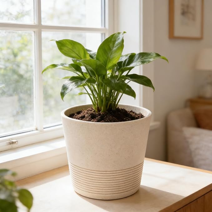 Ekirlin 7 Inch Natural Gravel Planters, Modern Resin Indoor Plant Pot, Heavy Planter with Drainage Hole, Removable Rubber Stopper and Non-Slip Soft Pad, Decorative Pot for Outdoor/Garden Plants