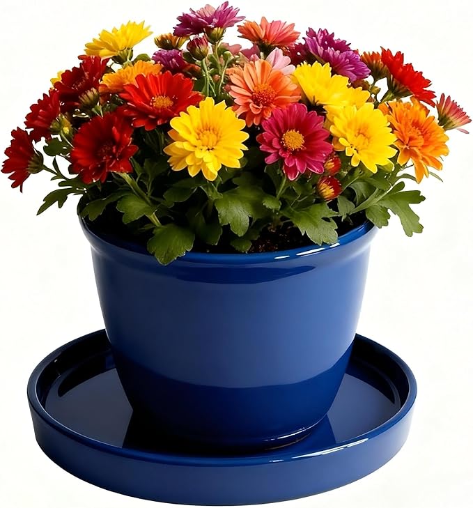 Ceramic Plant Saucer Pot Tray 6, 8, 10 Inch Blue, Planter Saucers for Indoors Outdoor, Durable Sturdy Flower Drainage drip Water Tray for Glazed Pots Base