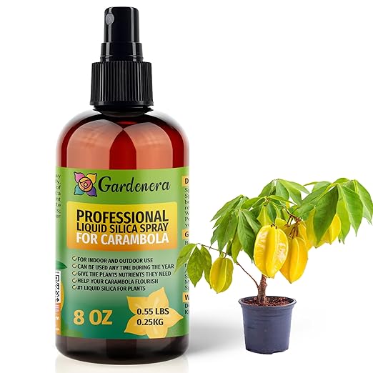 𝐒𝐔𝐏𝐄𝐑𝐈𝐎𝐑 Liquid Silica Boost Fertilizer and Supplement Spray for Carambola Plants – Pre-Mixed, Ready-to-Use Liquid Silicon Plant Superfood Mist for Indoor & Outdoor Plants – 8oz