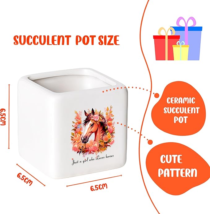 BJDAMAI Horse Succulent Planter Flower Plant Pot Small, Gifts for Women Teens Girls Kids, Horse Lovers Themed Stuff Accessories Things Decor Merch, Home Office Table Desk Decoration!
