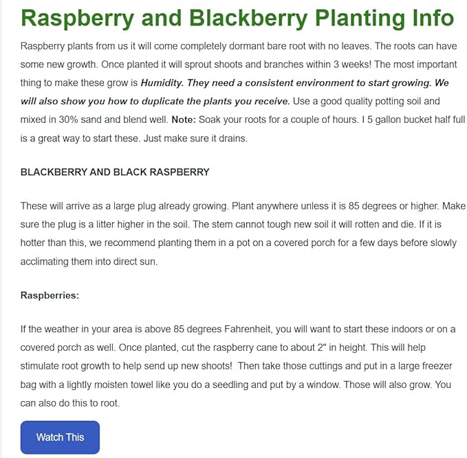 Heritage Raspberry Plants (5 Plants) - 5 Raspberry Supports Included! - Bare Root Plants from Hand Picked Nursery