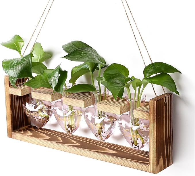 CYZglass Plants Propagation Stations Plant Terrarium Kit for Bathroom Glass Planters for Indoor Plants Bathroom Decor Accessories - Relax Soak Unwind Breathe