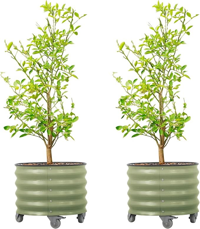 Rolling Metal Citrus Tree Planter Pot, 21″ Round Planter Box for Porch Patio & Backyard, 20 Gallon Large Planter Pot with Wheels for Growing Trees Tomatoes Vegetables and Flowers, 2 Pack Olive Green