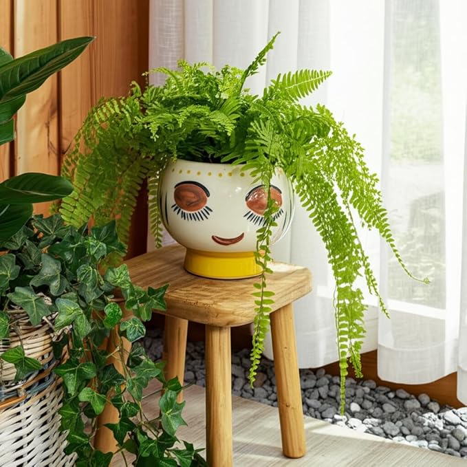 Stoneware Ceramic Planter Pot – Indoor Planter for Plants and Flowers, Shelf, Desk, or Patio Outdoor Decor, Art-Inspired Face Design for Modern Home Decor – 6", Ivory, Yellow, Blue Glaze