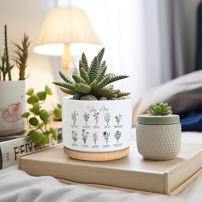 PZJIEAN You are Beautiful Succulent Plant Pot, Cute 3.5 Inch Ceramic Pot, Inspirational Christian Desk Windowsill Pots for Small Plants, Cactus Gifts Plant, Religious Planter (No Plants)