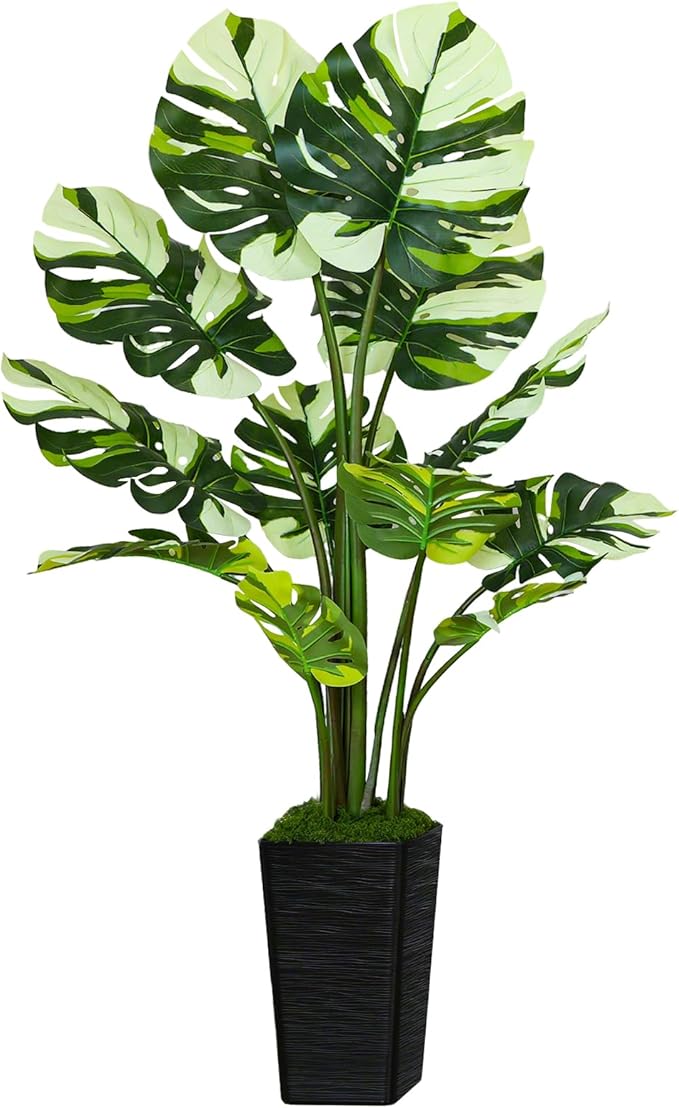 5FT Artificial Monstera Plant with Tall Black Planter and Thread Moss, Realistic Faux Floor Tree with Large White Leaves for Indoor Outdoor Office Porch Living Room Corner Home Decor