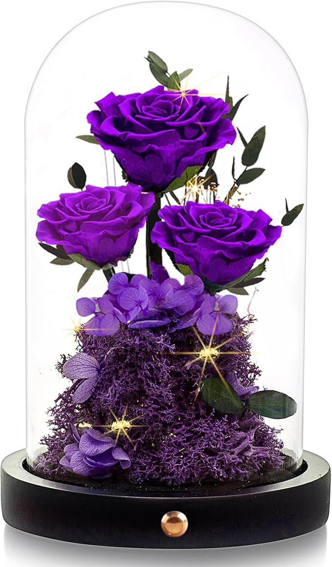 DENIMOMO Flowers Roses Gifts for Women Her,Forever Preserved Rose in Glass Dome, Valentines Anniversary Birthday Real Roses Gifts for Wife Women Girlfriend Best Friend/Purple