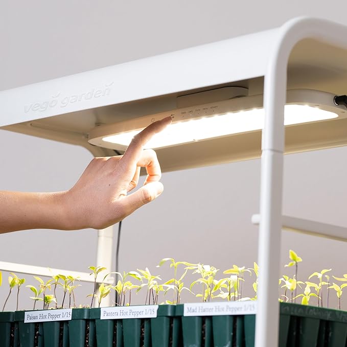Vego garden 2 Tier Tabletop Metal Corner Plant Stand Indoor with Grow Light, Full Spectrum LED Grow Light, Plant Rack for Seed Starting, Leafy, Herbs, Fruits & Microgreens
