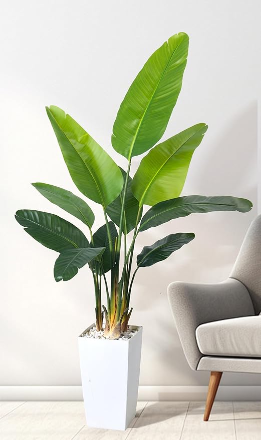 HAIHONG Bird of Paradise Artificial Plant 6FT, Faux Tropical Palm Tree with White Tall Planter, Large Fake Plants in Pot - Artificial Tree for Home Office Living Room Decor Indoor