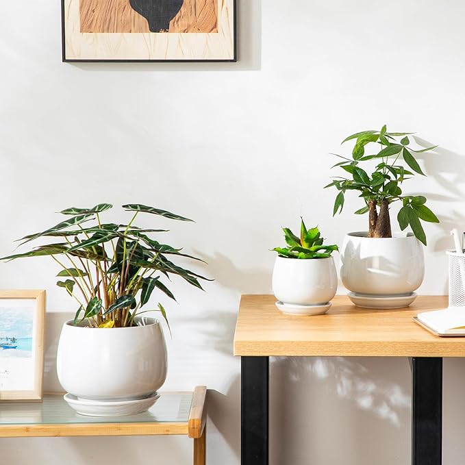 vancasso 3-Pack Ceramic Plant Pots, 3.7/4.8/6.2 Inch Indoor Planters with Saucers & Drainage Hole Planter pots for Indoor Plants and Flower, White