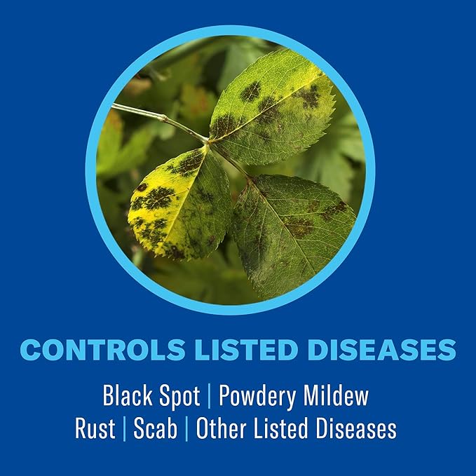 BioAdvanced All-in-One Rose & Flower Plant Care, Ready-to-Use, 24 oz, Aphid Spray for Outdoor Plants, Fungicide for Plants