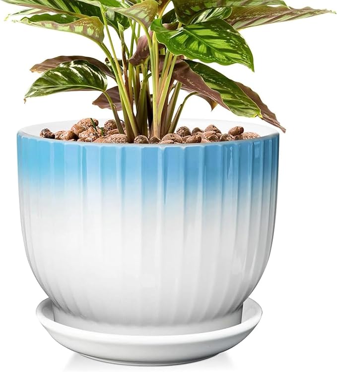 8 Inch Plant Pot, Ceramic Planter with Drainage and Saucer, Ceramic Pots for Plants, Indoor Plant pots,Ceramic Flower pots(Blue + White, Plants NOT Included)