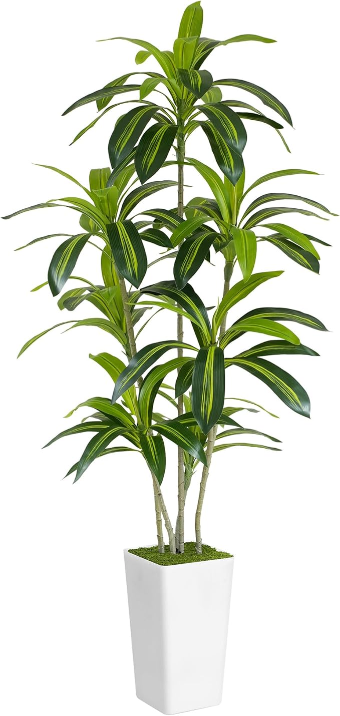 ProDeco Artificial Dracaena Tree 6ft Tall - Green Silk Realistic Fake Plants for Office Home Living Room Bedroom Decor Indoor Outdoor with Pot Large House Faux Floor Plants