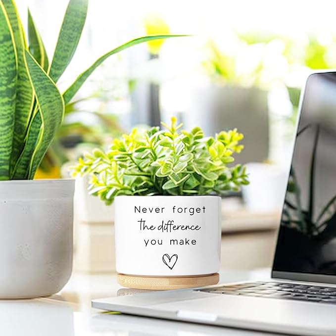 Aryabtya Cute Succulent Planter, Flower Cactus Plant Pot Gifts, Going Away Farewell Thank You Inspirational Employee Appreciation Gifts for Women Men Coworkers Boss Lady Manager (No Plants)