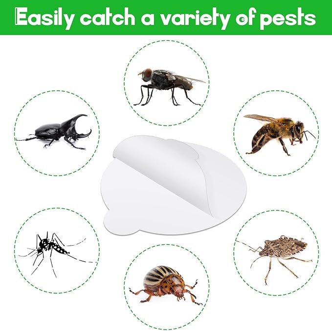 48 Pack Insect Trap Refillable Glue Boards Round Sticky Fruit Fly Trap Mosquito Fly Killer Pest Control Traps for Mosquitoes Fruit Flies Gnats Moths Fits Most Models Indoor Outdoor Lamp