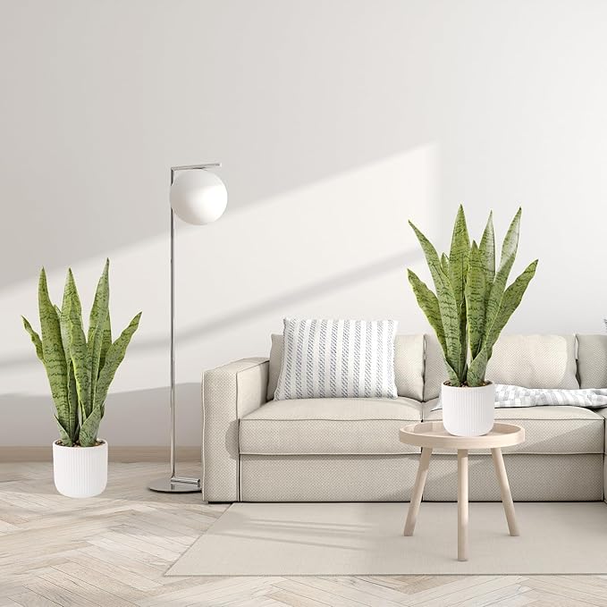 Artificial Realistic Snake Plant 21.5" with White Pot Fake Snake Plants Sansevieria Greenery Faux Snake Plant for Home Office Living Room Housewarming Gifts Indoor Decor-LightGreen