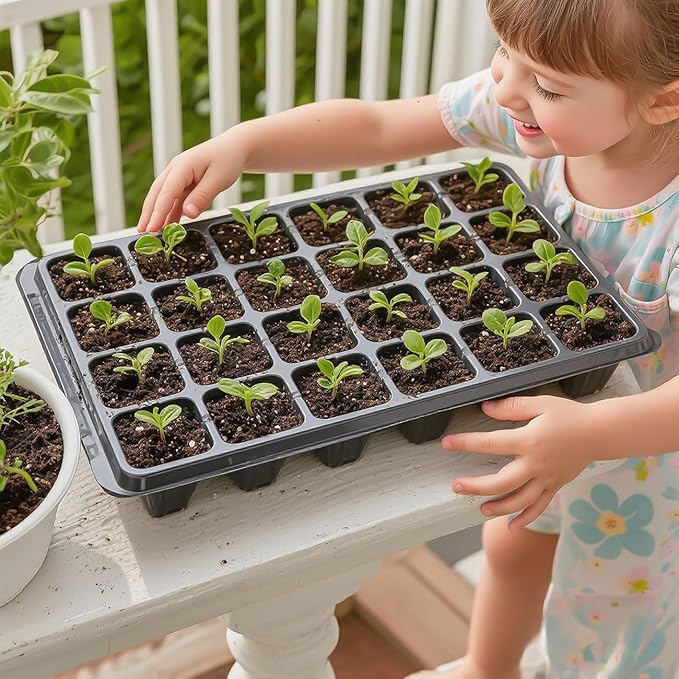 24XL Cell Seed Starter Tray with Dome-5 Pack 2'' Plug Seedling Trays(total 120 cells), Plant Germination Tray with Humidity Vented Lid and Base, Mini Propagator Plant Greenhouse for Seed Growing