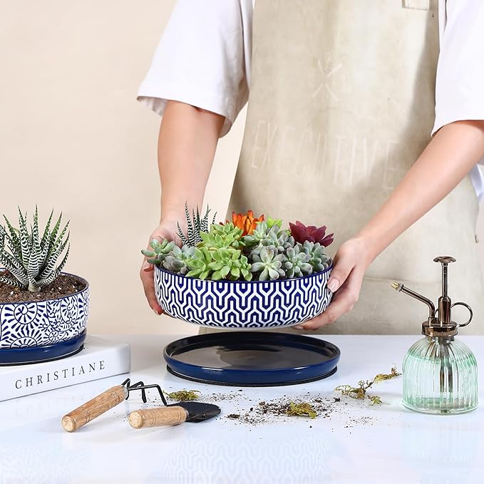 Selamica Ceramic Succulent Pots, Shallow Succulent Planters with Drainage Hole & Saucer, Indoor Plant Pots for Cactus, Home Decor，Vintage Blue, 8 inch，Set of 2