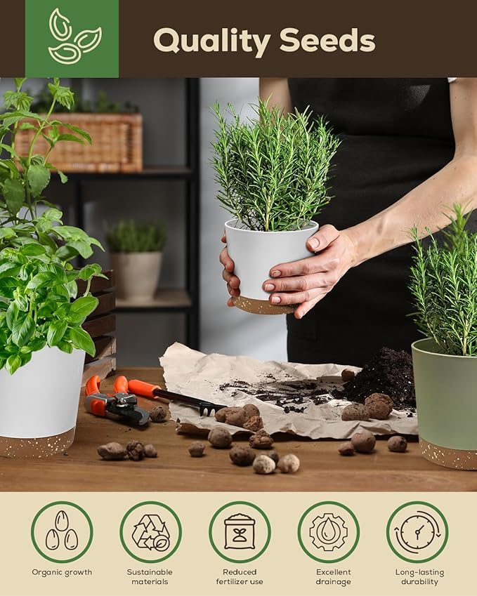 Indoor Herb Garden Kit with 8 Heirloom Seeds - Complete Windowsill Planter Starter Set, Unique Gardening Gift for Women Men, DIY Kitchen Herb Garden for Beginners, Plant Lovers, Mom, Friends