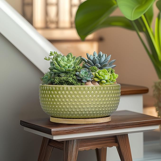 EPFamily Bonsai Planter - 8 Inch Ceramic Succulent Pots with Drainage Hole and Saucer for Indoor Plants, Boho Shallow Round Planter Bowl, Desk Decor, Garden Lover Gifts, Green