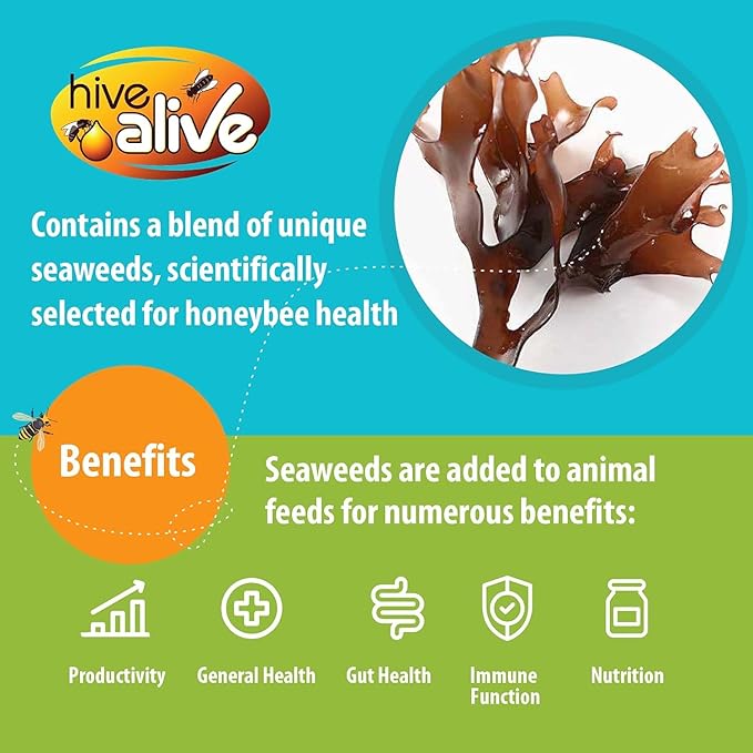 HIVE ALIVE Fondant Bee Food Supplement – Easy to Use Feed Enhancer Prevents Starvation During Overwintering – Only Fondant Proven to Increase Bee Gut Health and Boost Production -6Pack