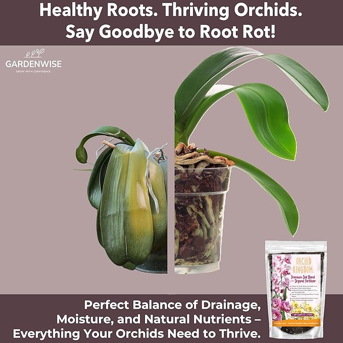 GARDENWISE Orchid Potting Mix – Orchid Bark, Sphagnum Moss, Tree Fern & Perlite for Repotting Phalaenopsis Orchids, Indoor Plants, Orchid Soil Medium – Sustrato para Orquídeas (1 Quart)