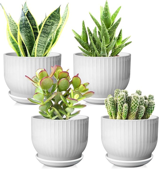 5.5 Inch Plant Pot, Ceramic Planter with Drainage and Saucer，Ceramic Pots for Plants, Indoor Plant pots，Succulent Orchid Flower Pot(Pure White,4 Pack)