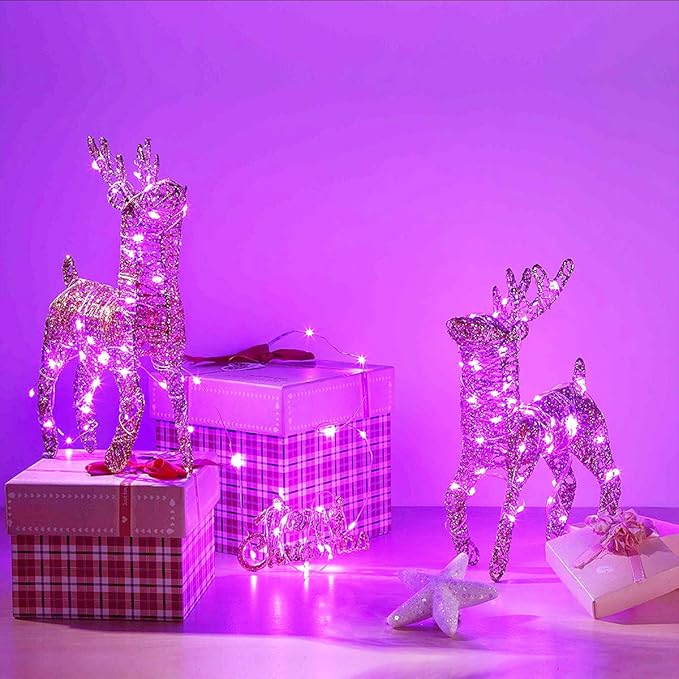 RUICHEN Silver Wire 33 Ft 100 LED USB Fairy String Lights with On/Off Switch (Pink)
