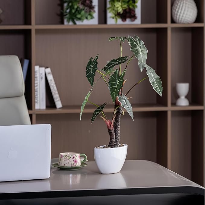 Avoeco Artificial Alocasia Plant – 21.6” Tall Faux Plant in White Ceramic Pot with Pebbles – Realistic Fake Potted Plant for Home, Office, Boho, Modern, Minimalist & Japanese Decor(White)