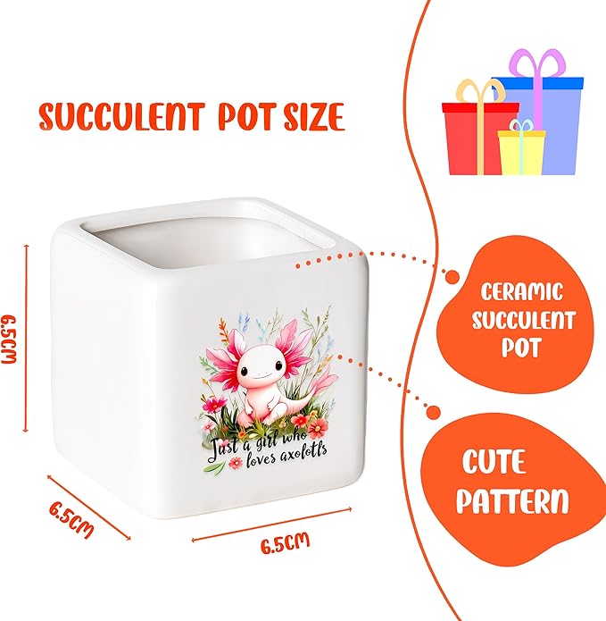 BJDAMAI Axolotl Succulent Planter Flower Plant Pot Small, Gifts for Women Teens Girls Kids, Axolotl Lovers Themed Stuff Accessories Things Decor Merch, Home Office Table Desk Decoration!
