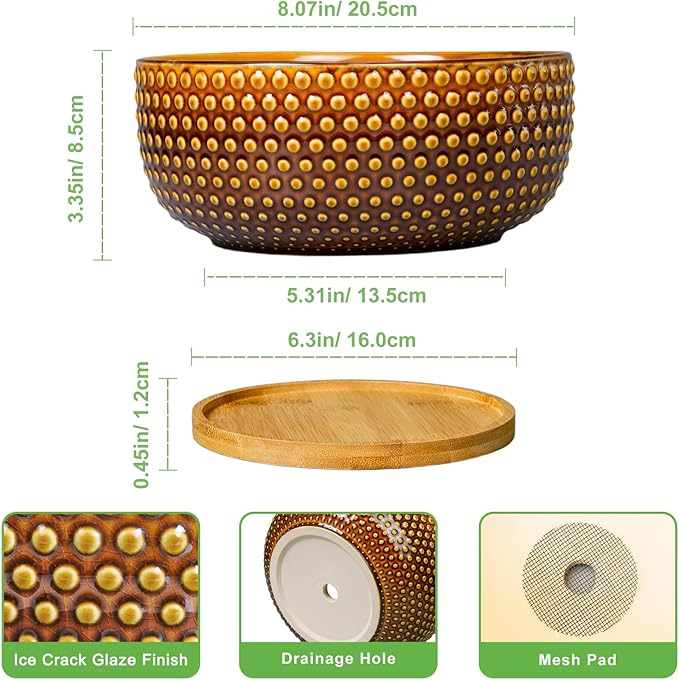 EPFamily Bonsai Pots - 8 Inch Succulent Bowl for Indoor Plant, Shallow Round Ceramic Planters with Drainage Hole and Saucer, Boho Home Room Office Apartment Decor, Plant Lovers Gifts, Brown