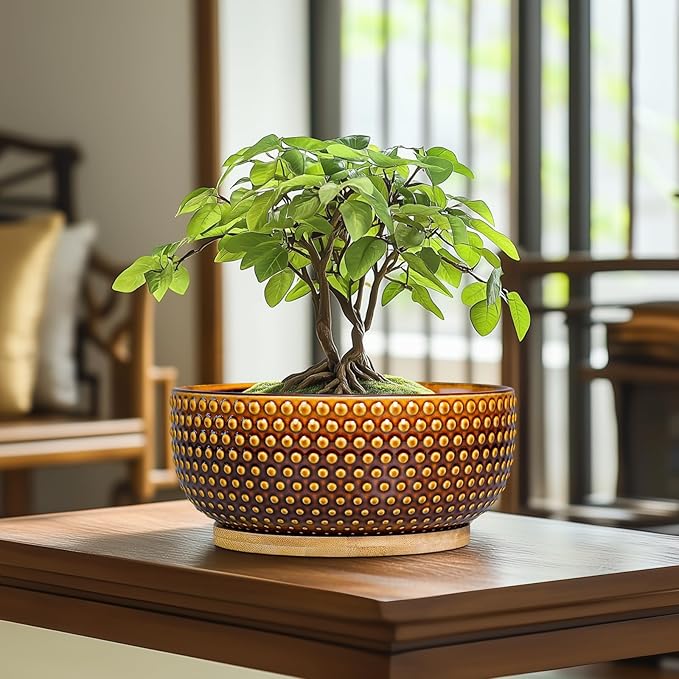 EPFamily Bonsai Pots - 8 Inch Succulent Bowl for Indoor Plant, Shallow Round Ceramic Planters with Drainage Hole and Saucer, Boho Home Room Office Apartment Decor, Plant Lovers Gifts, Brown