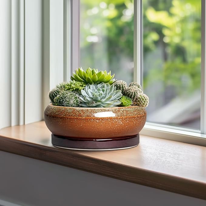 EPFamily Bonsai Pots - 10 Inch Ceramic Succulent Pots with Drainage Hole and Saucer, Bonsai Planter for Indoor Outdoor, Large Shallow Planter Bowl, Office Decor, Gifts for Plant Lovers, Retro Brown